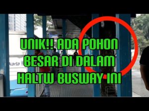 Review Halte Busway Gelora Bung Karno Jakarta