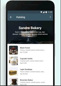katalog produk whatsapp business